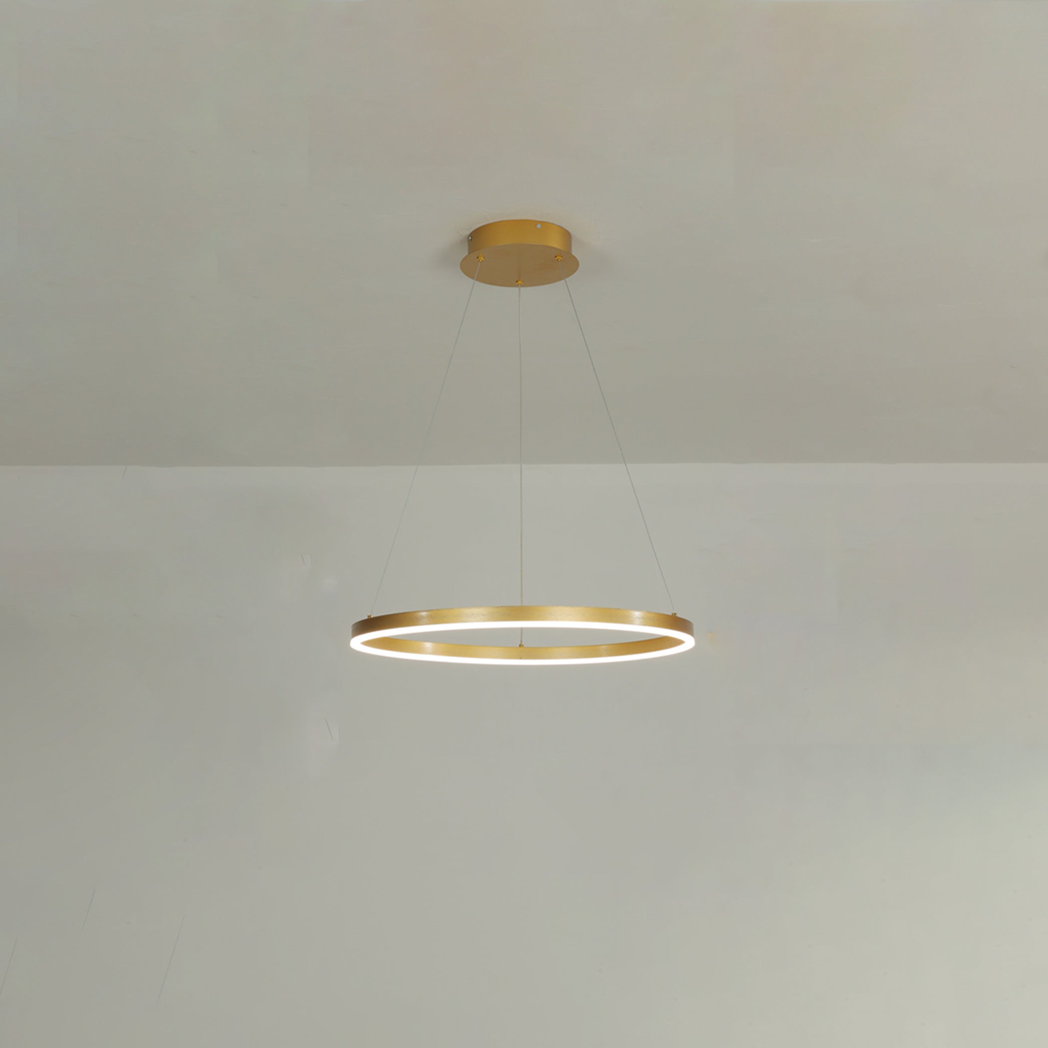 WOMO Lámparas Colgantes LED Anular-WM2030