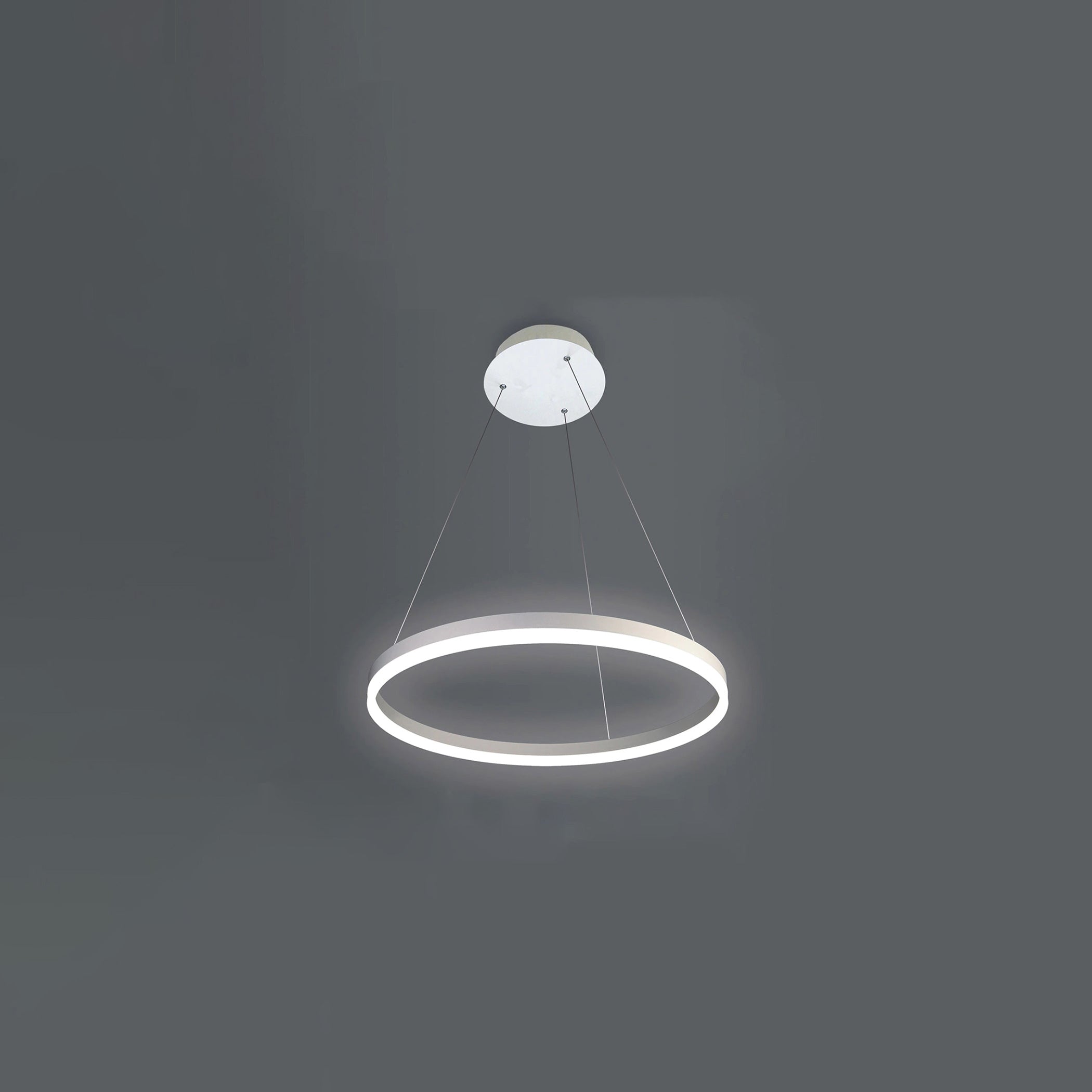 WOMO Lámparas Colgantes LED Anular-WM2030