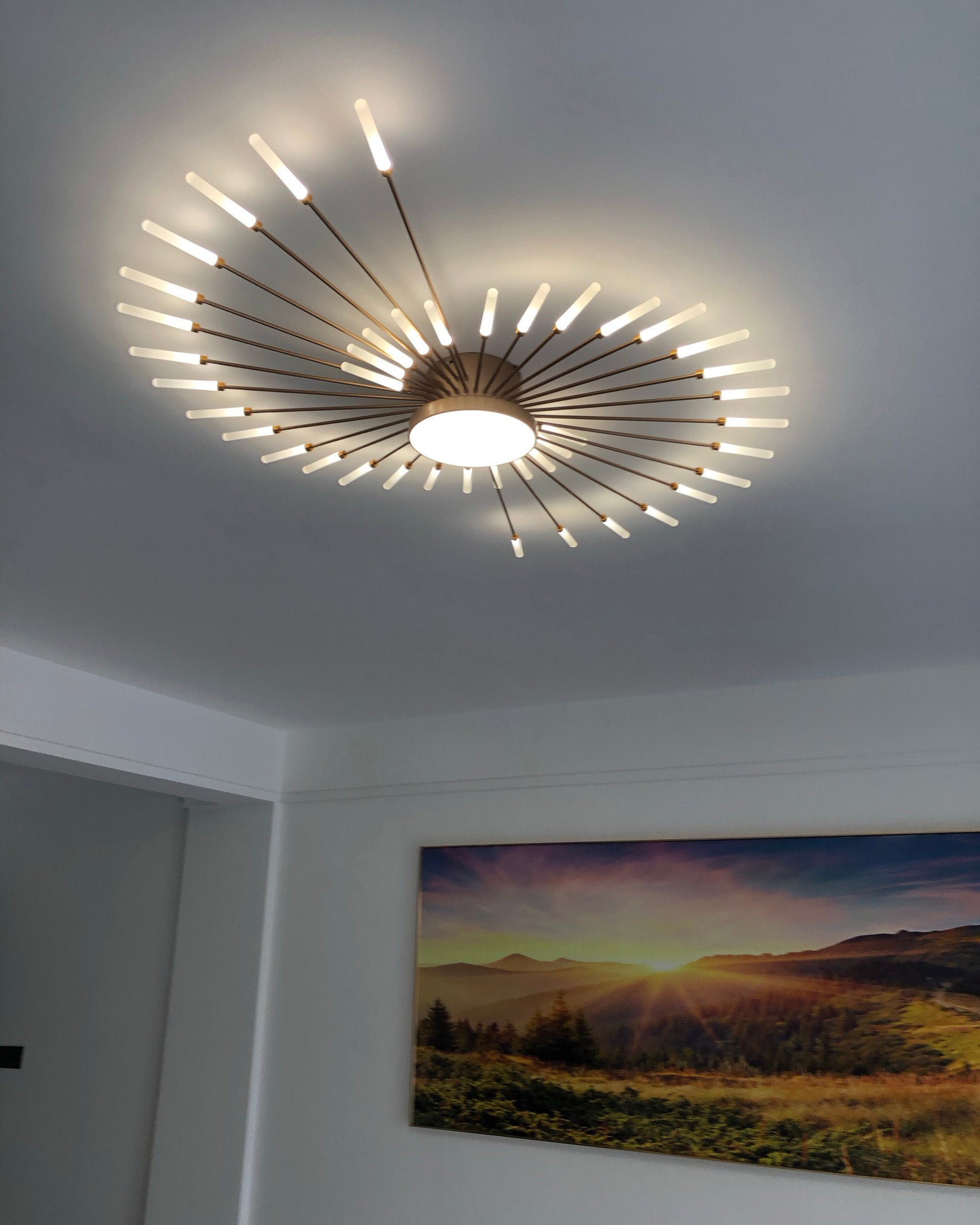 WOMO Firework Sunburst Recessed Ceiling Light - WM1001