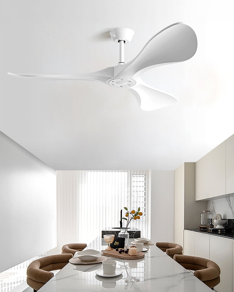 WOMO Ceiling Fans with Light Three Blades - WM5160