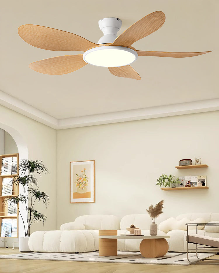 Ventilador de techo WOMO de perfil bajo con luz brillante - WM5153