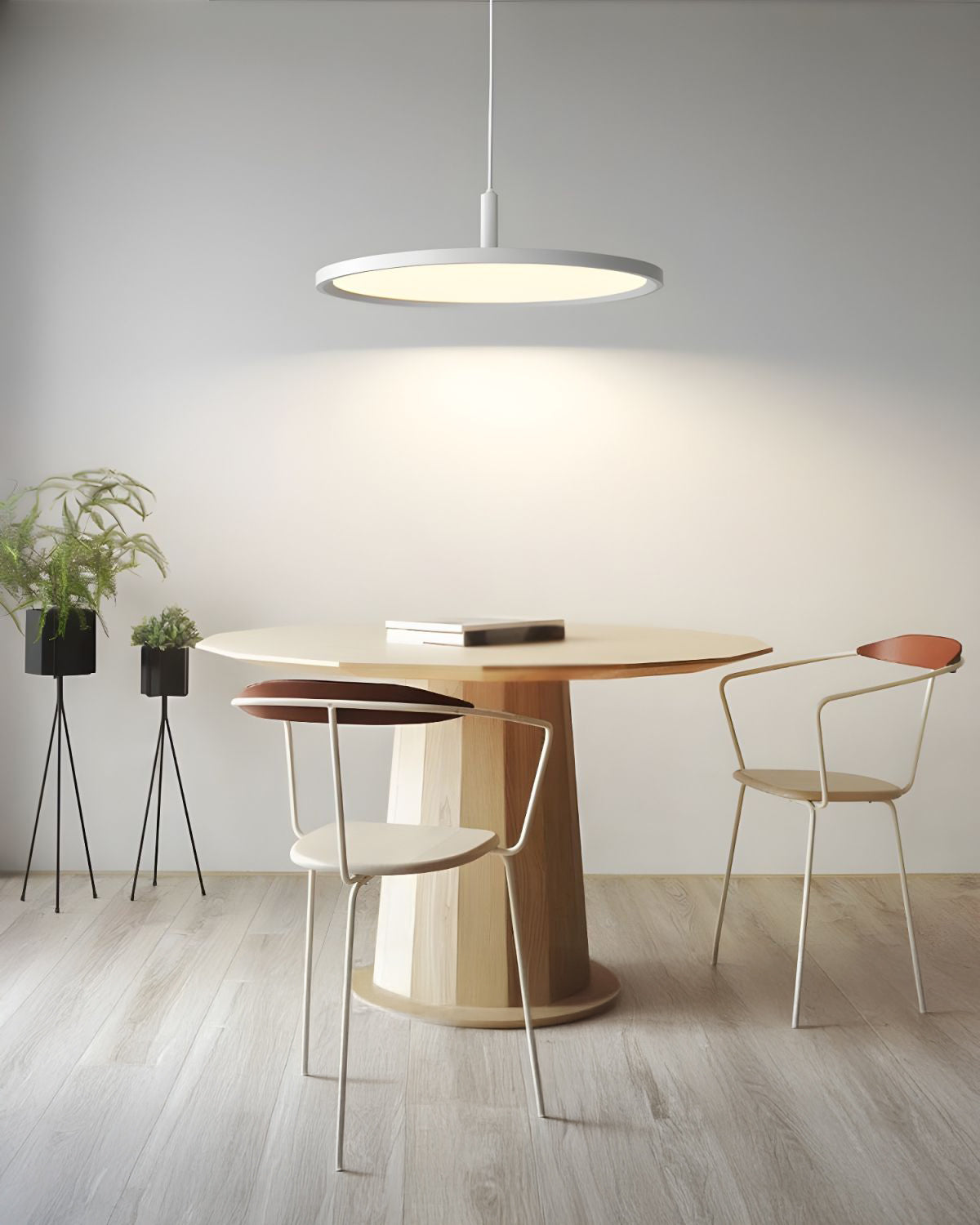 Large Disc Pendant Lamp WOMO-WM2911