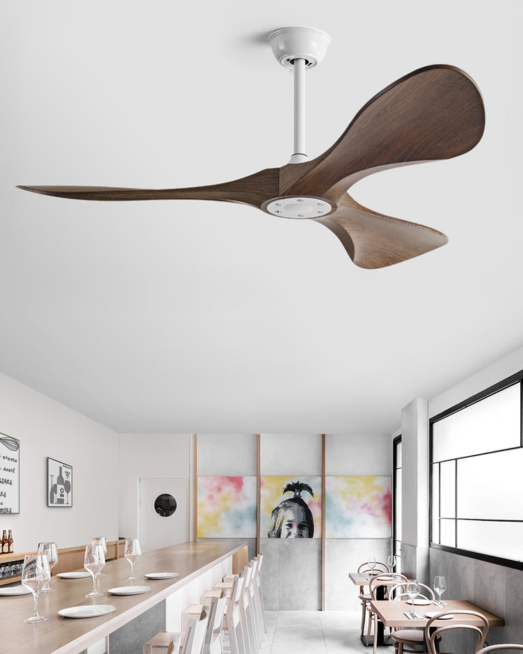 WOMO Ceiling Fans with Light Three Blades - WM5160