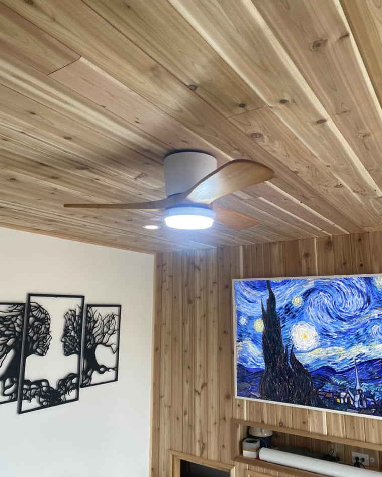 WOMO Ceiling Fans with Lights Large Low Profile - WM5051