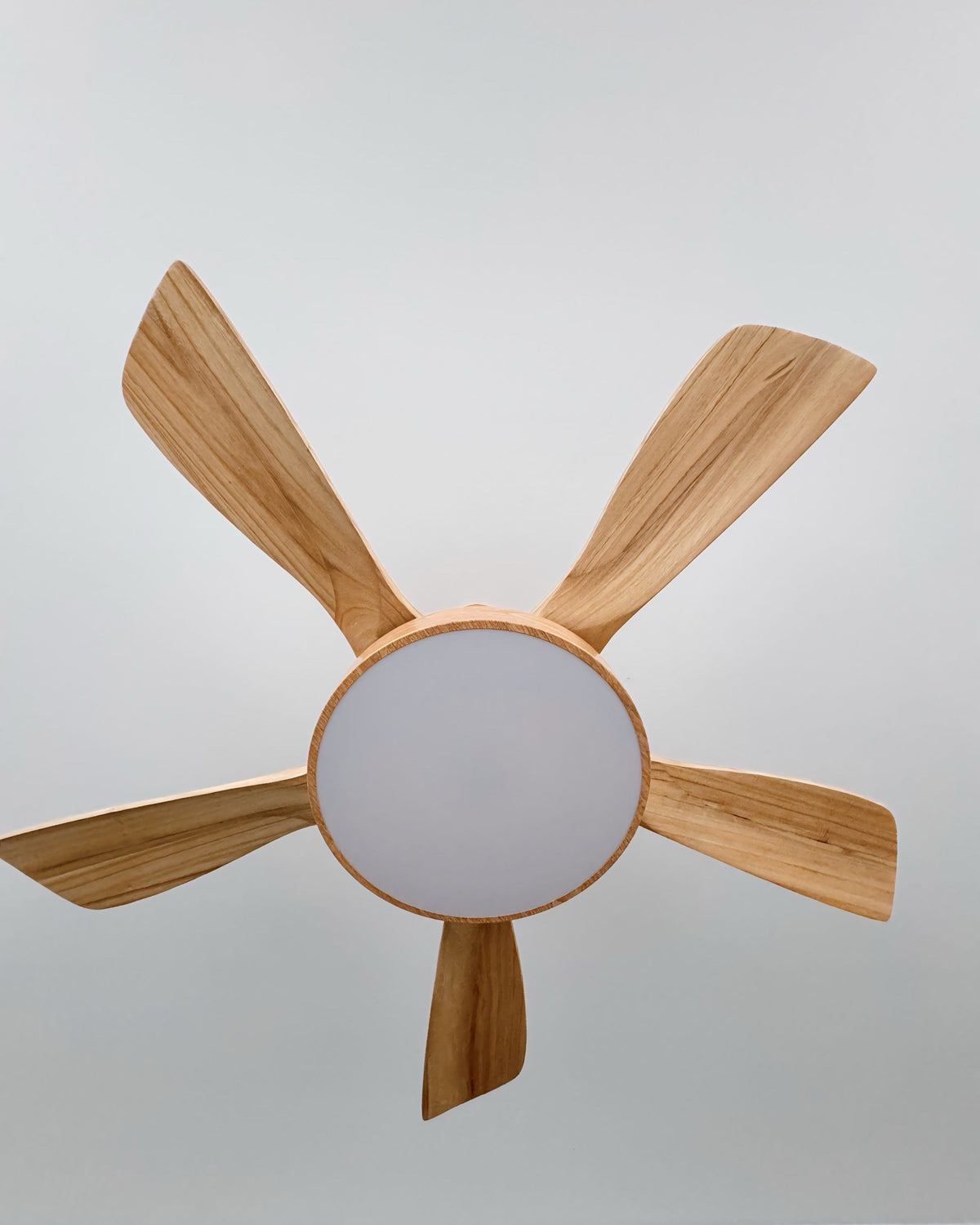 WOMO Ventilador de techo escandinavo reversible con luz - WM5002
